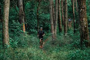 BIB: 
                            <button type="button" onclick="openModal(25237345)" class="btn btn-primary btn-sm float-right btn-popup" data-toggle="modal" data-target=".modal-high-quality">
                        <i class="fas fa-shopping-cart"></i> Add to Cart
                    </button>
                                            <button type="button" onclick="isThisMe(25237345, true)" class="btn btn-success btn-sm float-right btn-popup btn-isme hidden" data-toggle="tooltip" data-placement="bottom" title="นี่คือรูปของคุณใช่ไหม คลิกที่นี่เพื่อเอาเข้าอัลบั้ม">
                        <i class="fas fa-plus"></i> Add to album
                    </button>
                    <button type="button" onclick="isThisMe(25237345, false)" class="btn btn-warning btn-sm float-right btn-popup btn-isnotme hidden">
                        <i class="fas fa-ban"></i> Remove from album
                    </button>